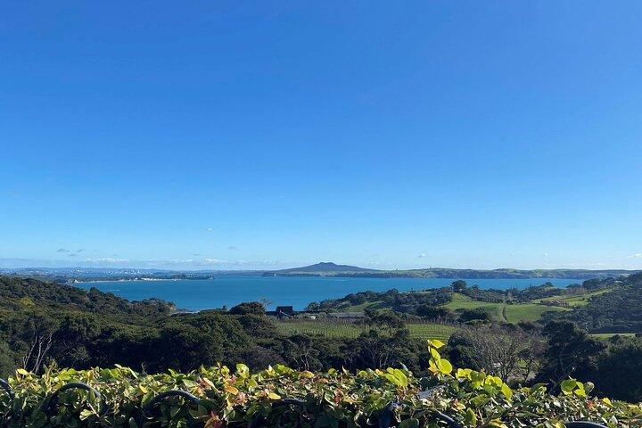 The Essence of Waiheke Wine Tour