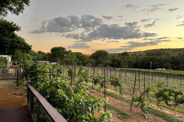 Arizona Winery Tours All-Inclusive Tour with Lunch & Tastings