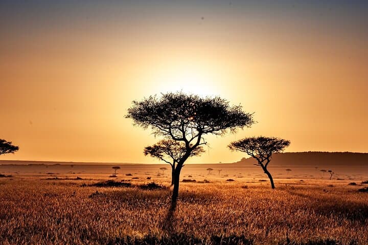 4-Day Masai Mara Great Migration & Lake Nakuru ~ Group 4×4 Safari