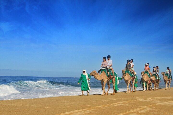 Camel Ride On The Beach at Los Cabos