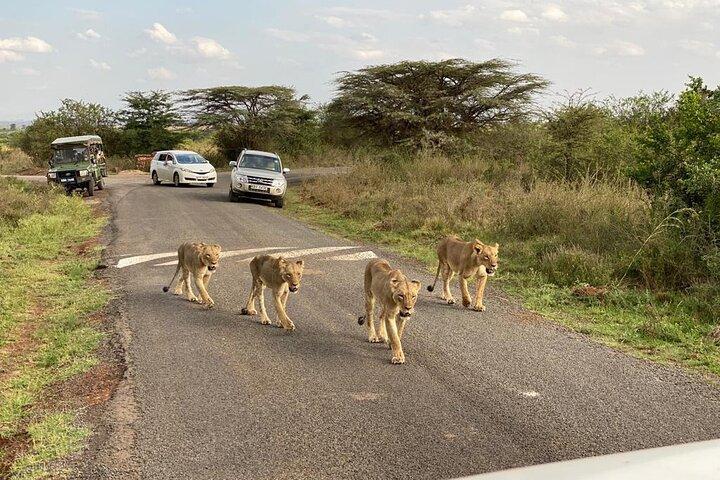 Layover Private Tour to Nairobi National Park and Giraffe Center
