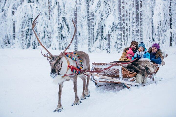 Reindeer Sleigh Ride and Farm Experience from Rovaniemi