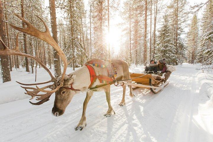 Reindeer Sleigh Ride and Farm Experience from Rovaniemi