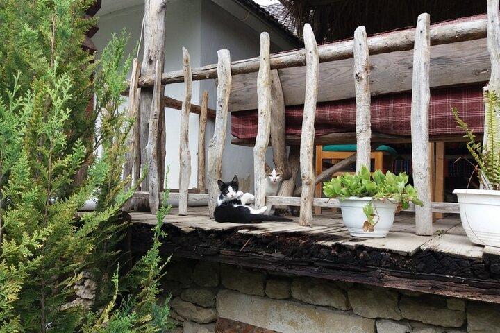 Highlights of Moldova - Curchi, Old Orhei and Cricova (Optional)