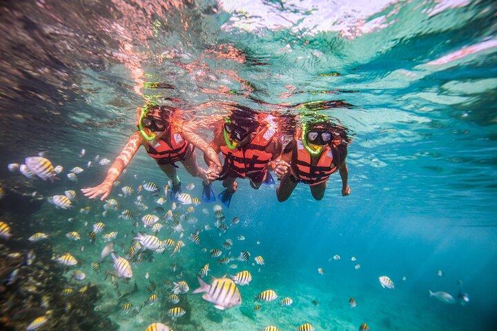 CATAMARAN to Isla Mujeres, Snorkel & Beach Club by Xcaret