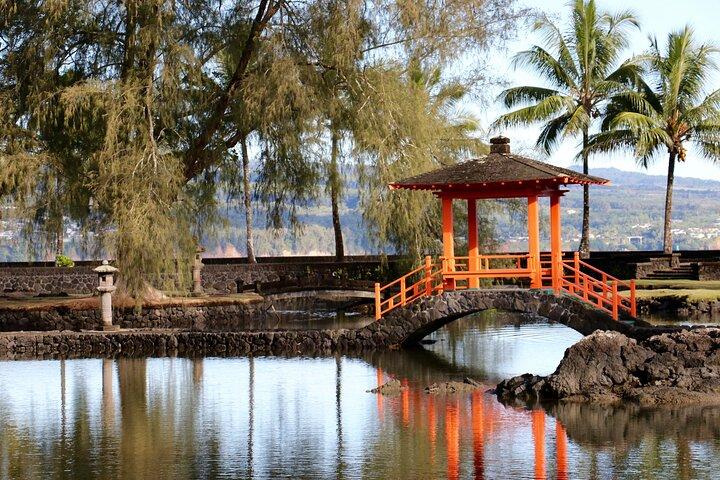 Hilo Shore Excursion: Active Volcano, Lava Tube, Waterfall and Gardens