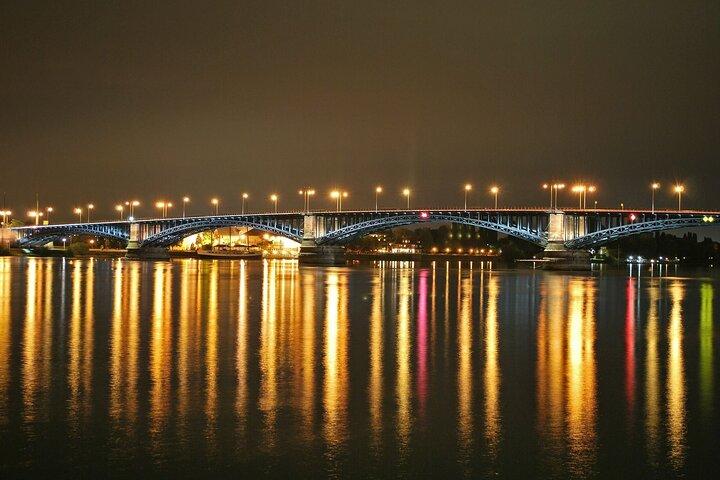 Half-Day Private Tour from Frankfurt to Mainz by Train