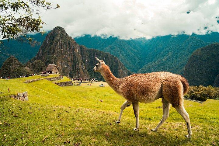 Sacred Valley Machu Picchu Tour (2 Days)
