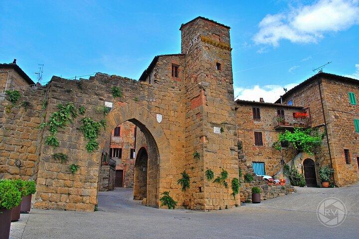 Full Day PRIVATE Guided Tour in Val D'Orcia Region from Florence