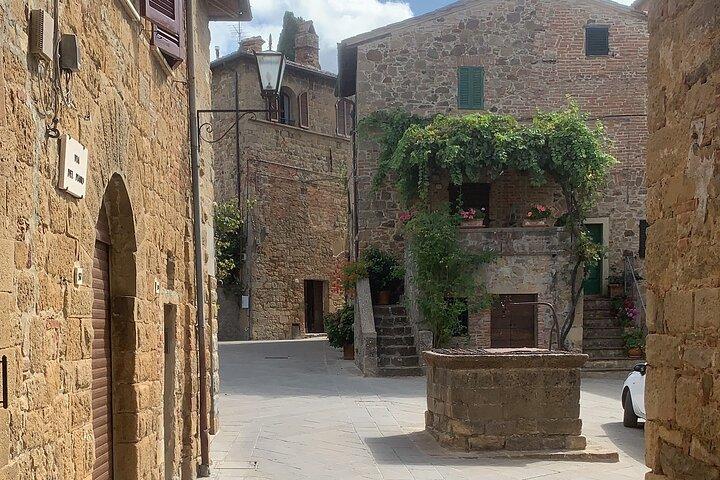 Full Day PRIVATE Guided Tour in Val D'Orcia Region from Florence