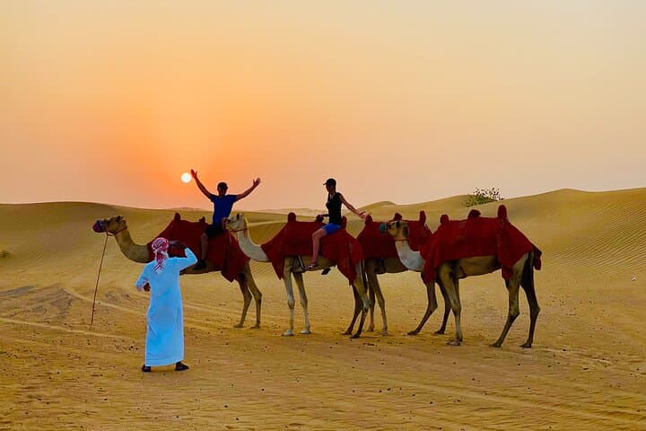 VIP Evening Desert Safari with Camel Ride & BBQ Dinner–Shared Car