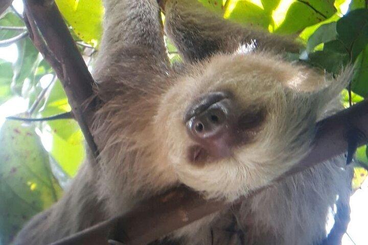 Manuel Antonio National Park Hiking Guided Tour