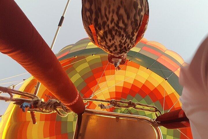 Hot Air Balloon Deluxe with Falconry