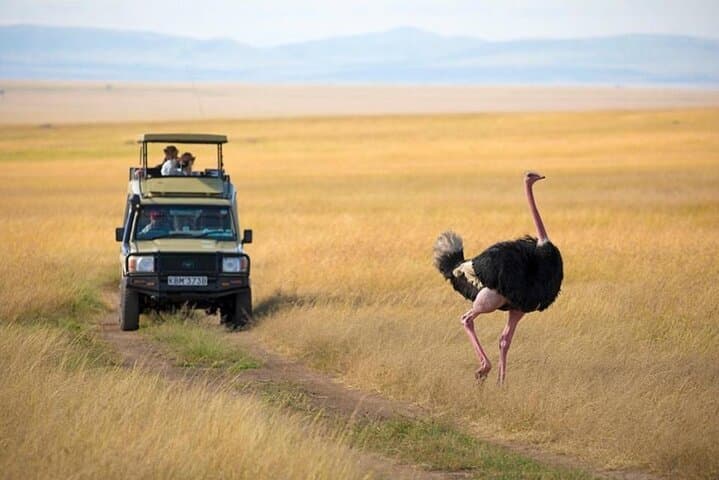 3-Day Safari to Maasai Mara National Reserve with Entry Fee