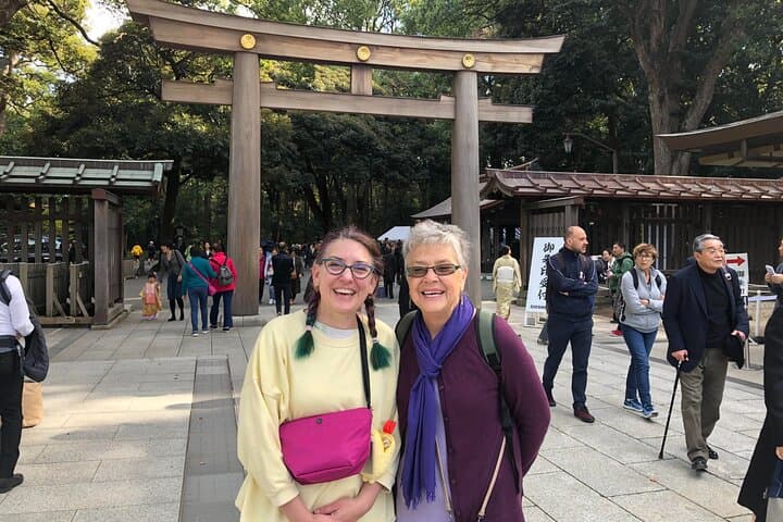 Tokyo 6 hour Tour : English Speaking Driver Only, No Guide