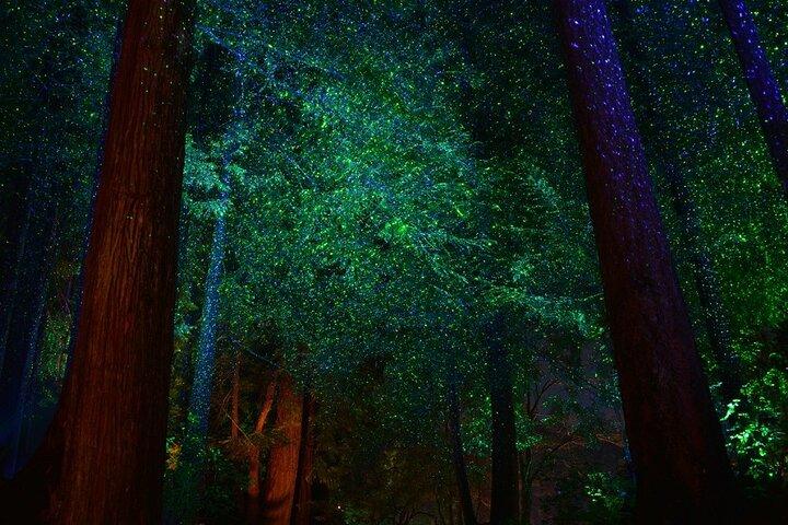 Shuttle Bus to Magic of Christmas at The Butchart Gardens