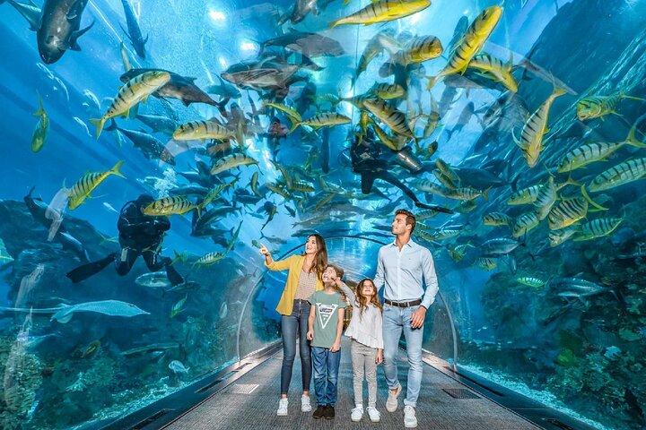 Dubai Aquarium and Underwater Zoo