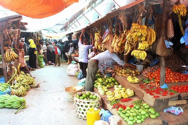 Private Dolphin Tour + Zanzibar Stone town Tour ( City Tour )+ Jozani Forest