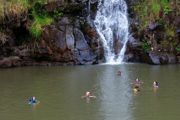 Oahu: North Shore Tour with Waimea Waterfall