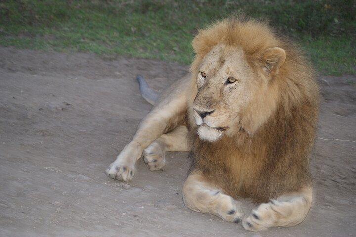 4 Days Group Camping Safari