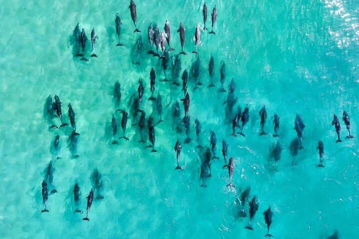 30 minute Reef Scenic Flight