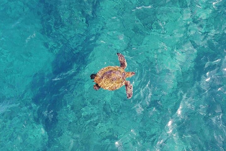 30 minute Reef Scenic Flight