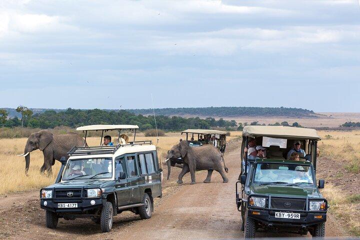 3 days Luxury Safari Tour in Tanzania