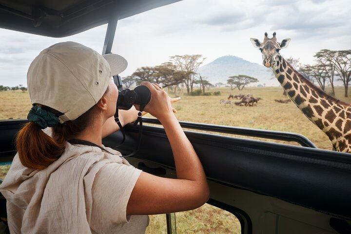3 days Luxury Safari Tour in Tanzania