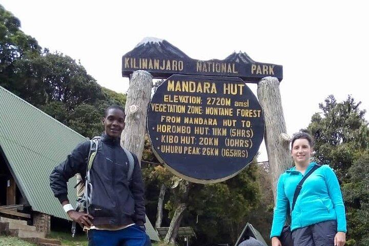 Day Hike to Mount Kilimanjaro, Chagga Culture & local Experience