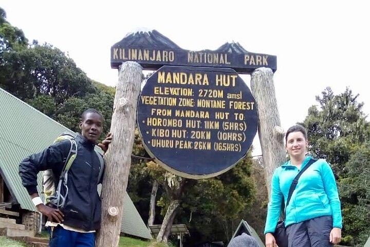 Day Hike to Mount Kilimanjaro, Chagga Culture & local Experience