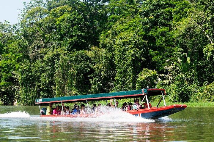 Tortuguero One Day Private Tour from San Jose