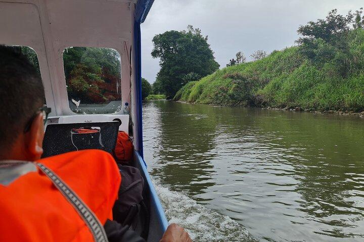 Tortuguero One Day Private Tour from San Jose