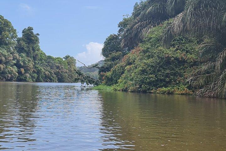 Tortuguero One Day Private Tour from San Jose