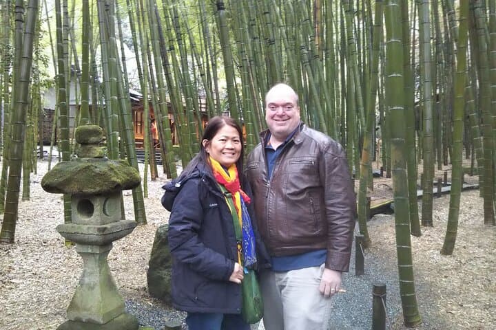 Kamakura All Must-Sees Private Chauffeur Sightseeing with a Driver (Tokyo DEP.)