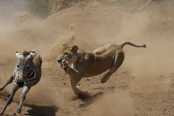 4 days 3 nights Safari- Tarangire, Serengeti and Ngorongoro Crater