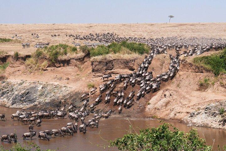 6 Days Wildebeest Migration Safaris