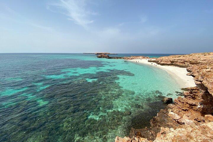 Snorkeling at Dimaniyat Islands and Dolphin Watching (Half-Day)
