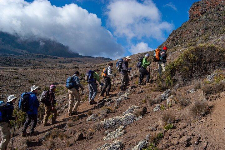 7-Day Mt Kilimanjaro Trekking via Machame Route