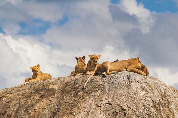 2-Day Private Guided Tour to Tarangire and Ngorongoro