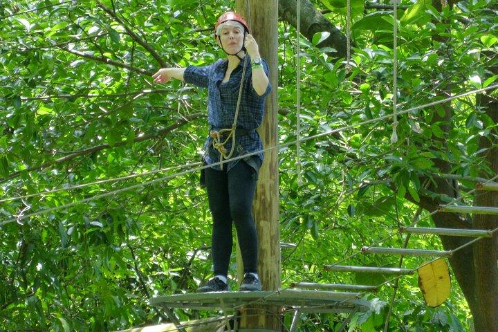 Zip Lining and Canopy Tree Tour in Rio de Janeiro