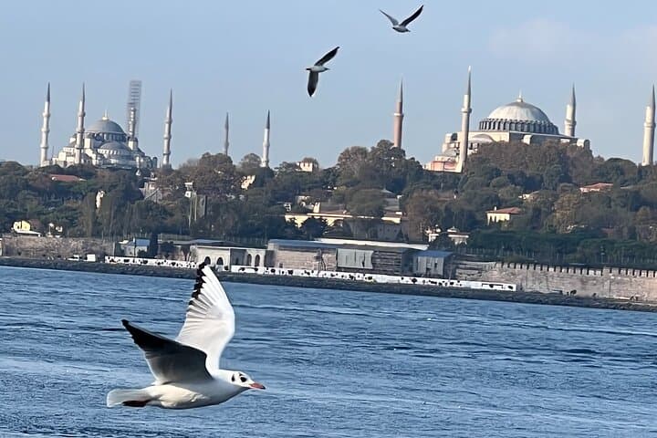 Istanbul Airport or Cruise Ship Private Layover Tour