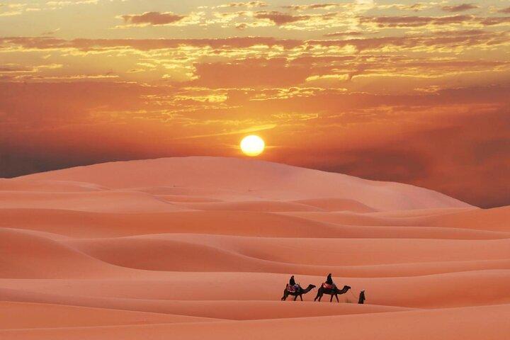 Dubai Morning Desert Safari With Dune Bashing - Private