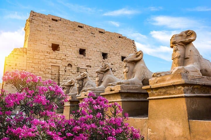 First impression of Luxor-Explore secrets of Luxor by horse carriage