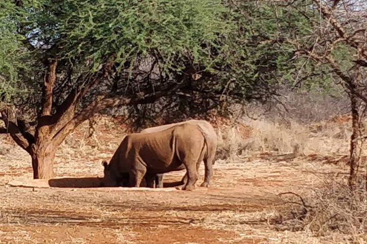 2-Day Private Guided Tour to Tarangire and Ngorongoro