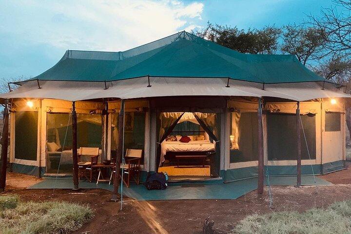 2-Day Private Guided Tour to Tarangire and Ngorongoro