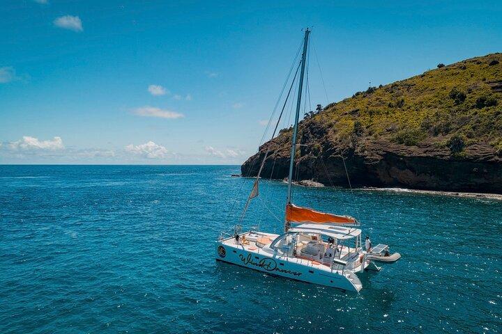 Ilot Gabriel Catamaran Cruise in Mauritius