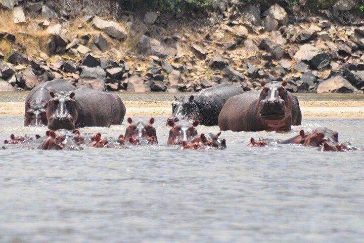 3 Days Nyerere National Park Safari (Selous Game Reserve)