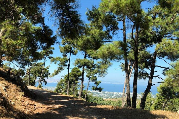 Kos 4x4 Exploration: Views, Villages & Flavors