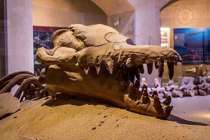 Private Tour Whales Valley And Wadi El Rayan Waterfalls In El Fayoum From Cairo