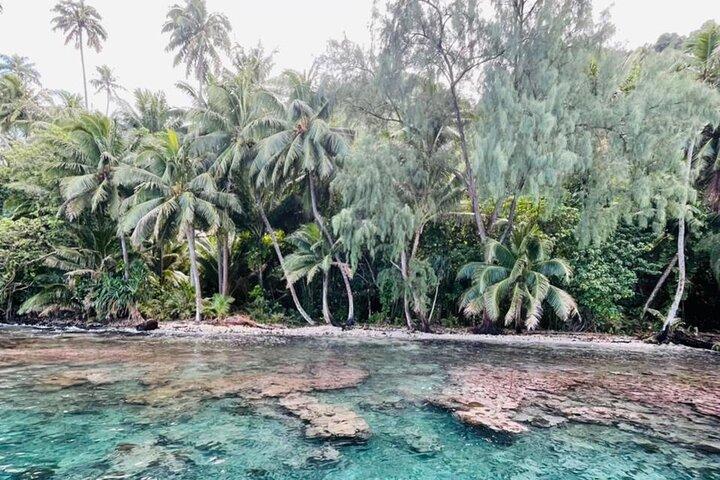 Half day Tahiti Peninsula and Teahupoo boat tour (shared boat)